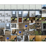 Image1: 10 thumbs by row